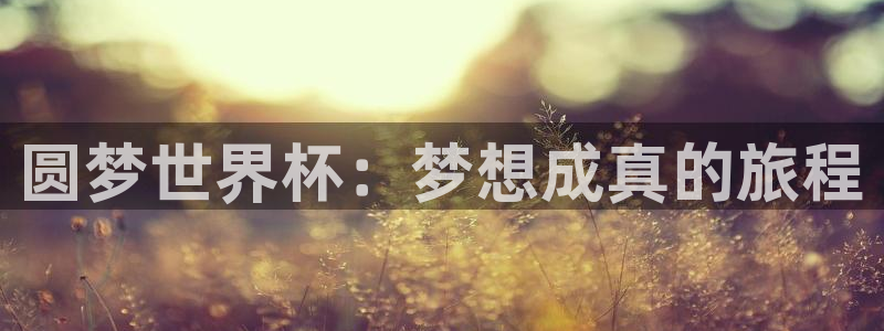 女足世界杯直播：圆梦世界杯：梦想成真的旅程