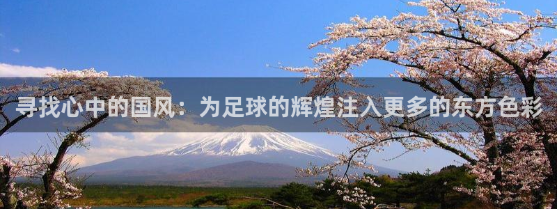 世界杯亚洲区预选赛积分榜：寻找心中的国风：为足球的辉煌注入更多的东方色彩
