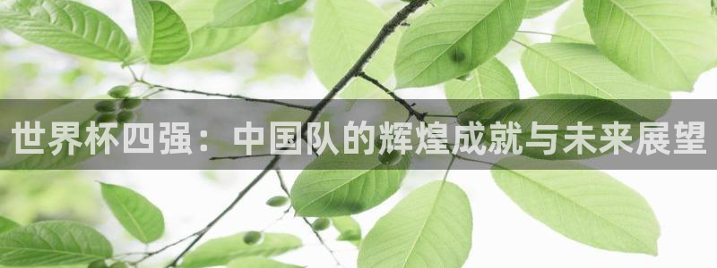 2026世界杯预选赛：世界杯四强：中国队的辉煌成就与未来展望