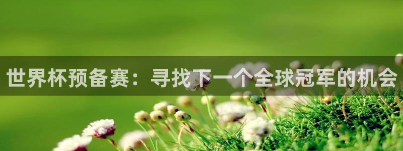 西超杯直播：世界杯预备赛：寻找下一个全球冠军的机会