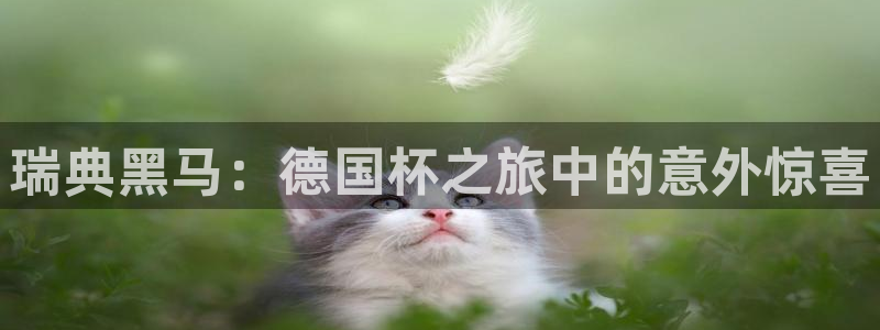 世界杯球队：瑞典黑马：德国杯之旅中的意外惊喜