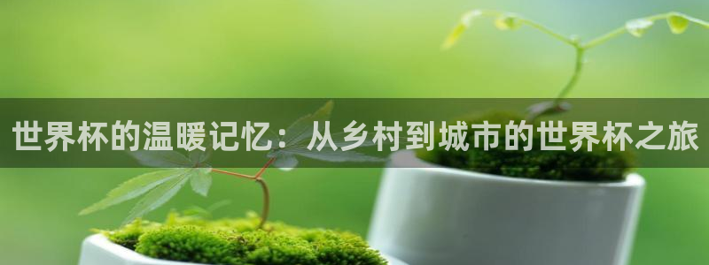 2026世界杯亚洲预选赛：世界杯的温暖记忆：从乡村到城市的世界杯之旅