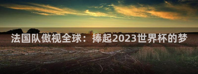世界杯在线直播：法国队傲视全球：捧起2023世界杯的梦
