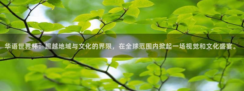 西超杯直播：华语世界杯：超越地域与文化的界限，在全球范围内掀起一场视觉和文化盛宴。
