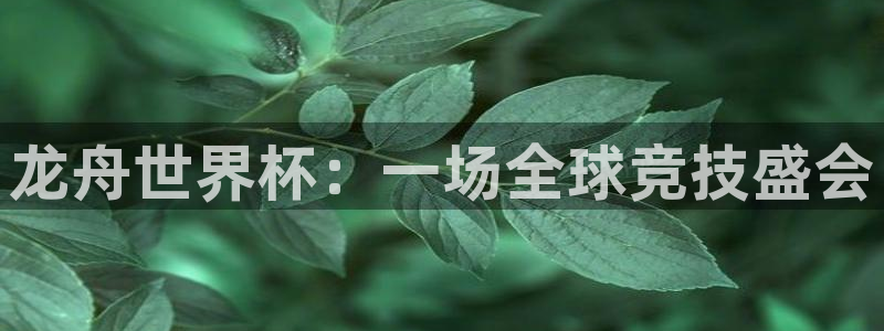 世界杯决赛预测：龙舟世界杯：一场全球竞技盛会