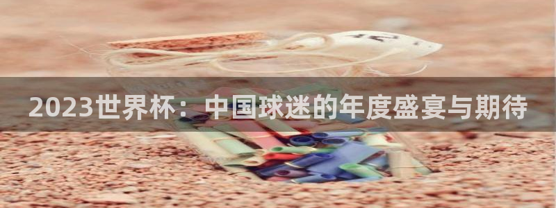 澳门世界杯直播：2023世界杯：中国球迷的年度盛宴与期待