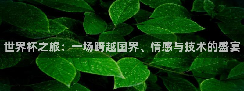 2026 世界杯：世界杯之旅：一场跨越国界、情感与技术的盛宴